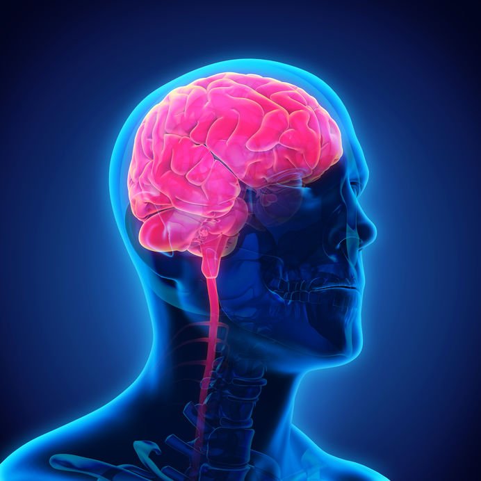 Hidrosefali Hastalığı